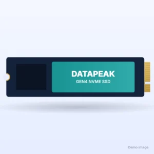 DataPeak Gen4 NVMe SSD